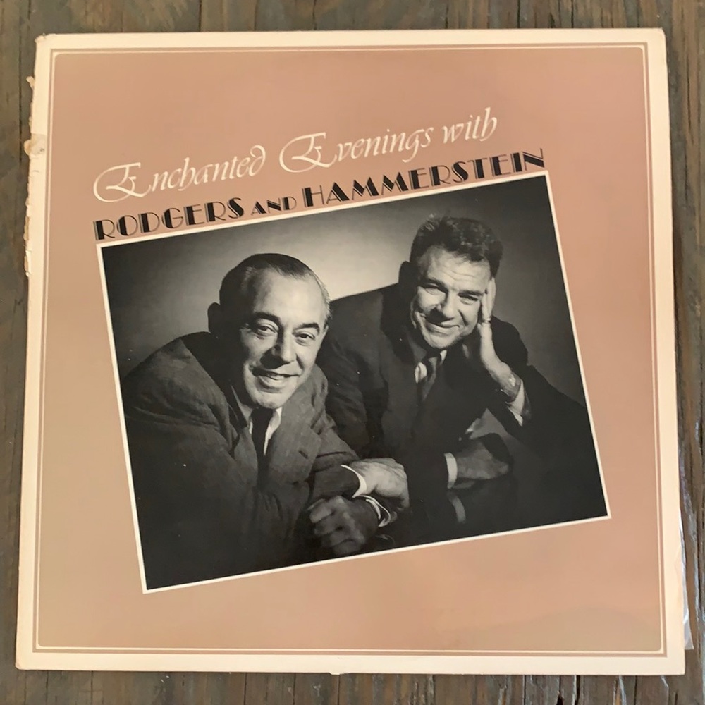 🌟$5 Rogers and Hammerstein double vinyl record